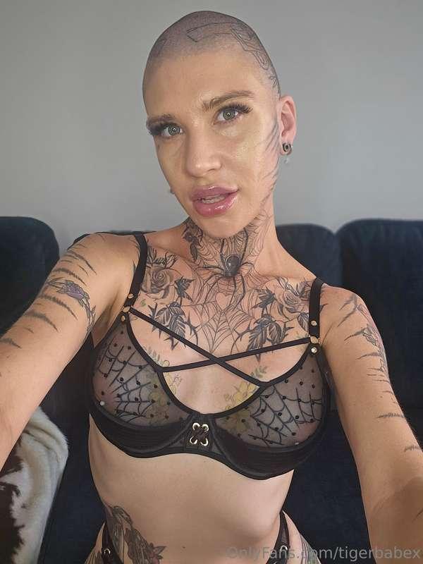 tigerbabex image #0