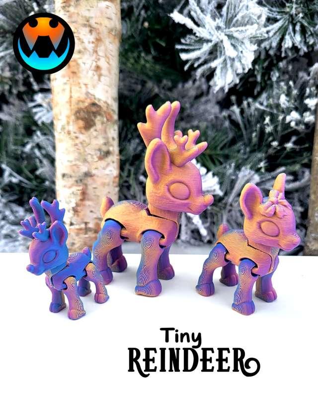 cinderwing3d main image