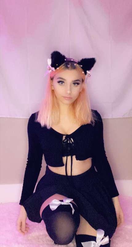 Loser Cat