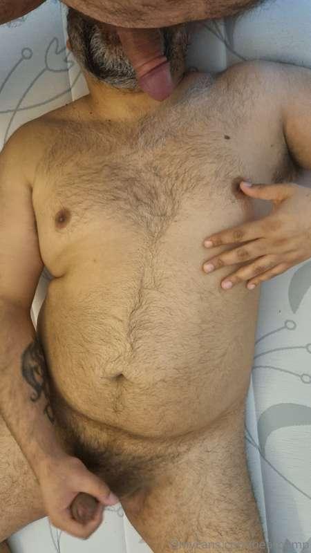bearpamp image #0