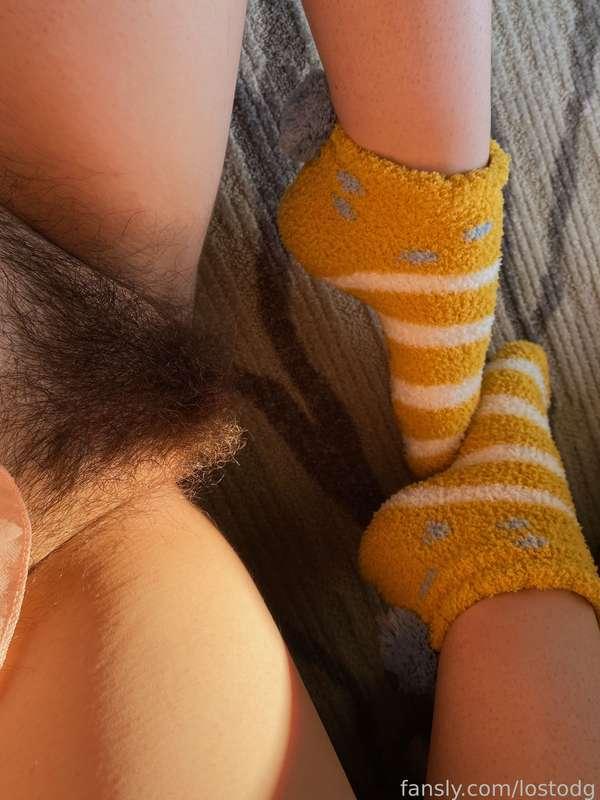 lostodg image #1