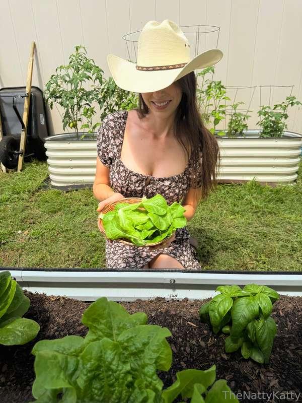 I like my food like I like my tits…. All natural 😉