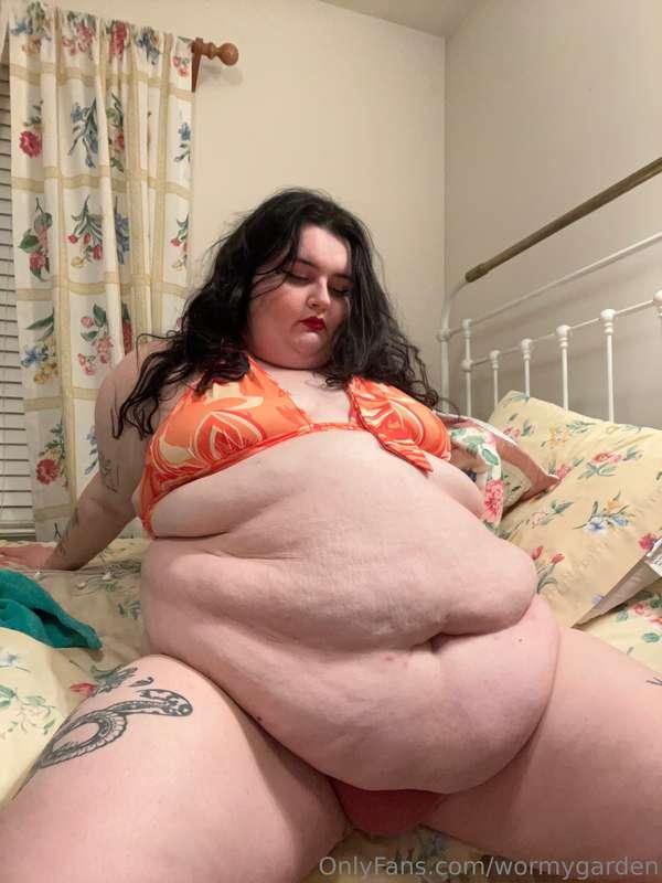 wormygarden image #2