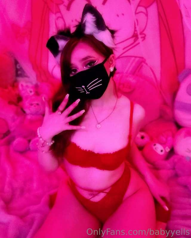 be my alpha? 🐾♥️