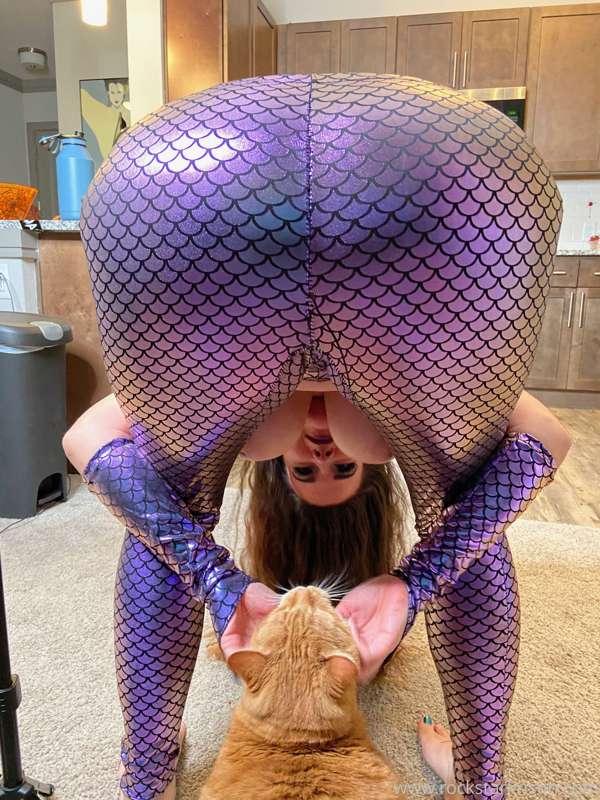 Just a mermaid and her cat-fish