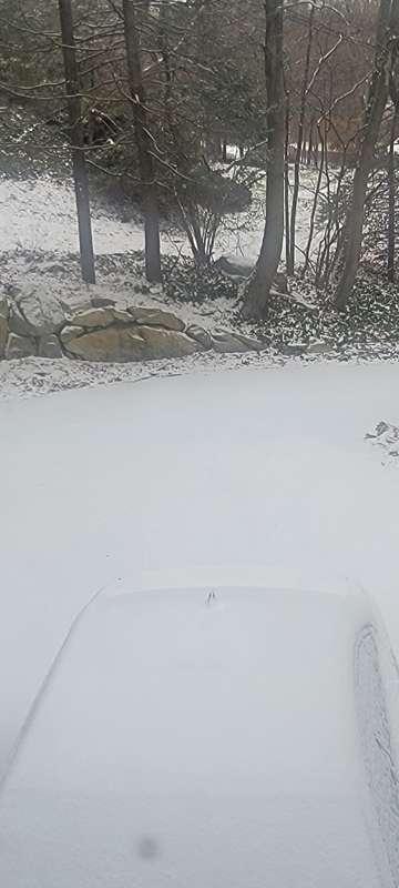 Woke up to ❄️❄️❄️❄️ snow!