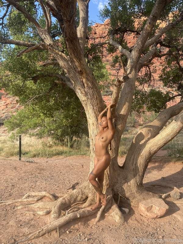 Unlock for this full sun kissed album 🌞 (9 pics + 1 vid)