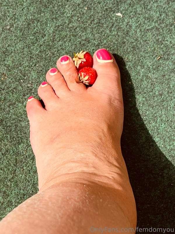 tasty Toesday: which do you prefer, honey bunny, my toes or ..