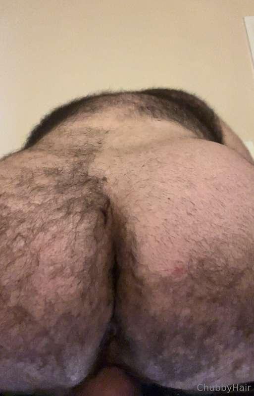 chubbyhair image #3