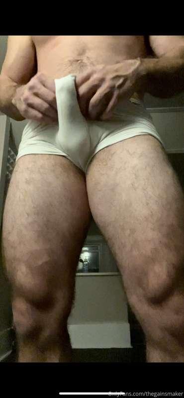 thegainsmaker image #0