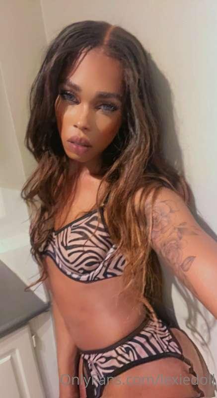 Did somebody said leopard 🐆???