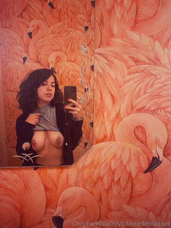 Selfie toilettes