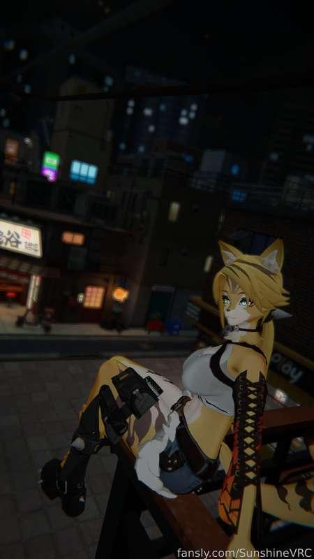 sunshinevrc image #54