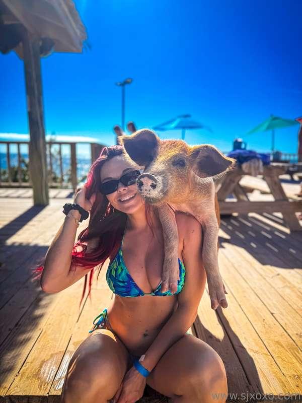 🐷