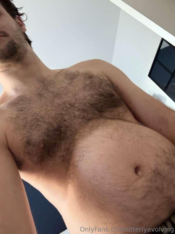 otterlyevolving image #3