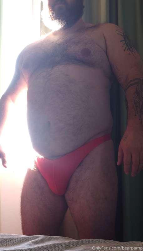 bearpamp image #0