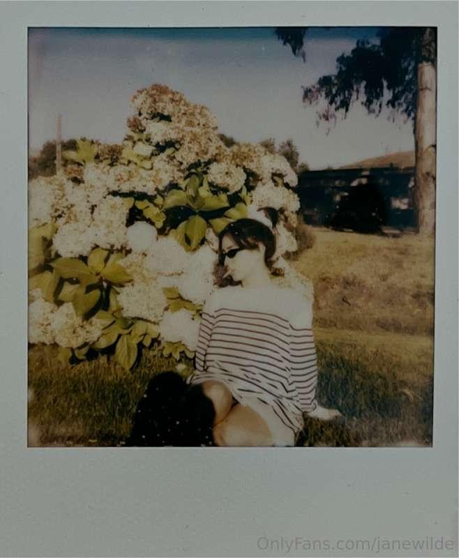 janewilde image #3