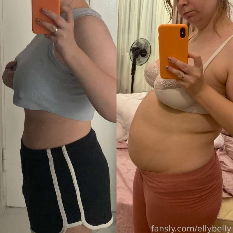 ellybelly image #0