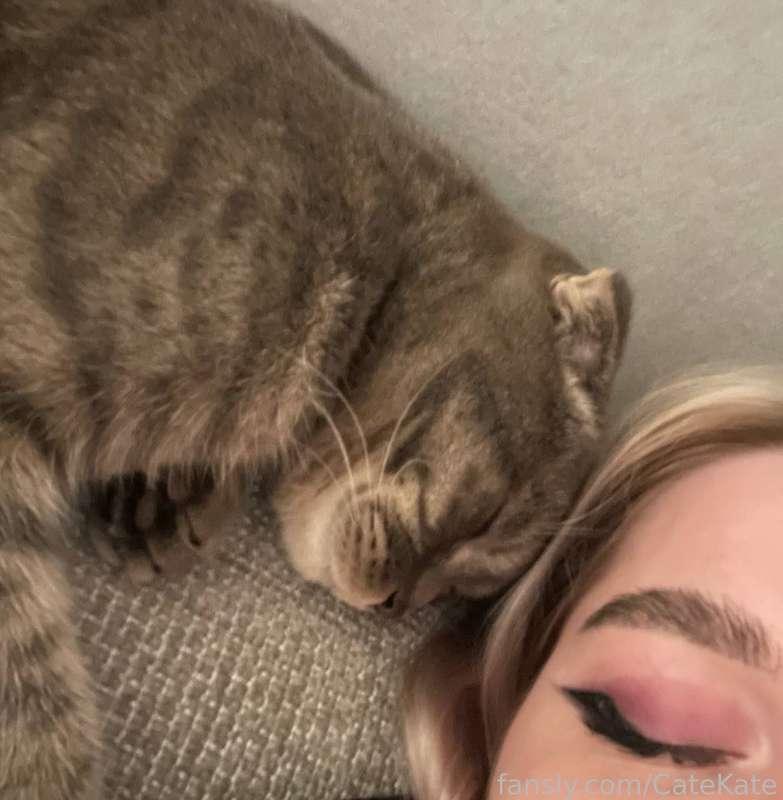 catekate image #0