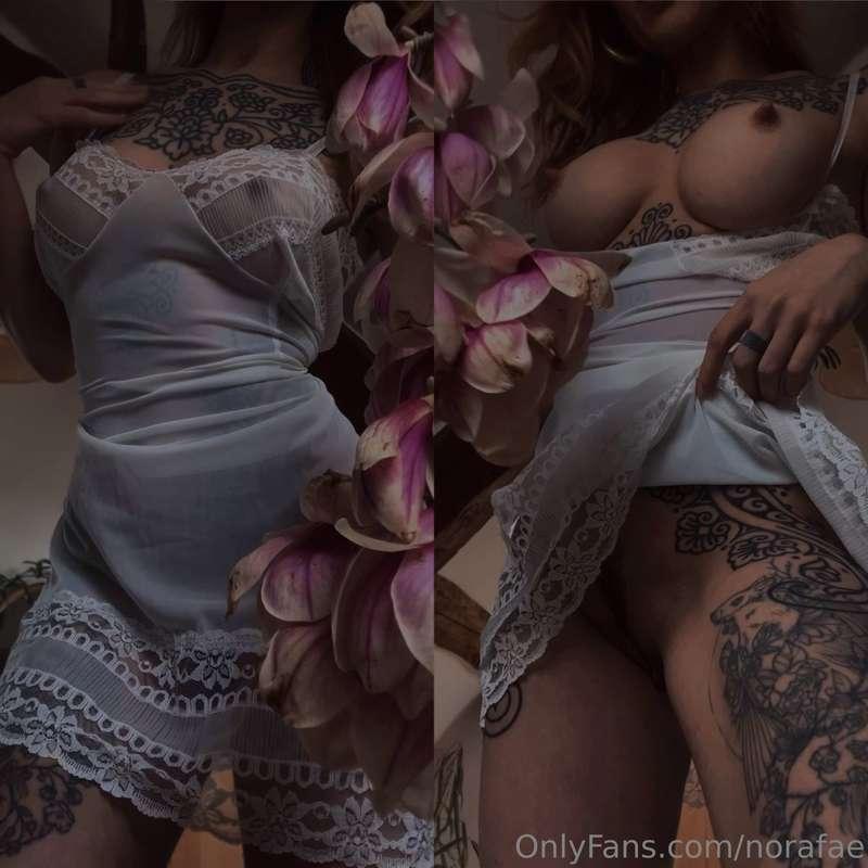 ✨🌸✨