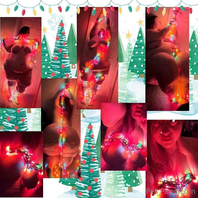 Feeling festive! Enjoy a trussed up panda 🎄🎅🧑‍🎄❄️🎁