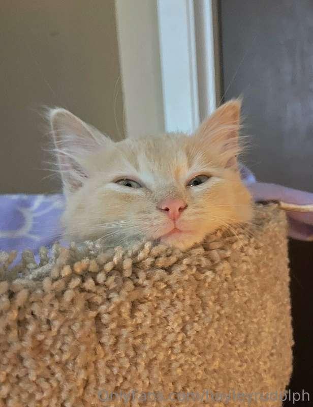 hayleyrudolph image #3