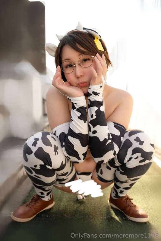 Hi💕🐄