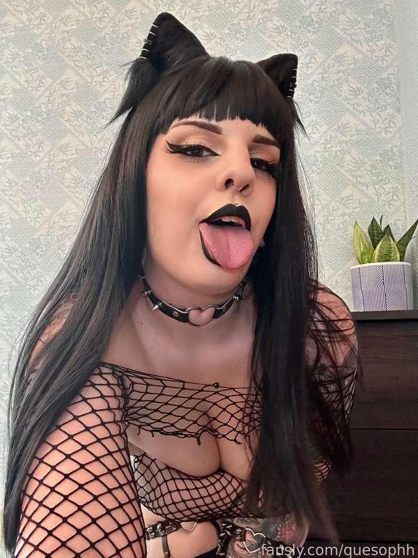 quesophh image #2