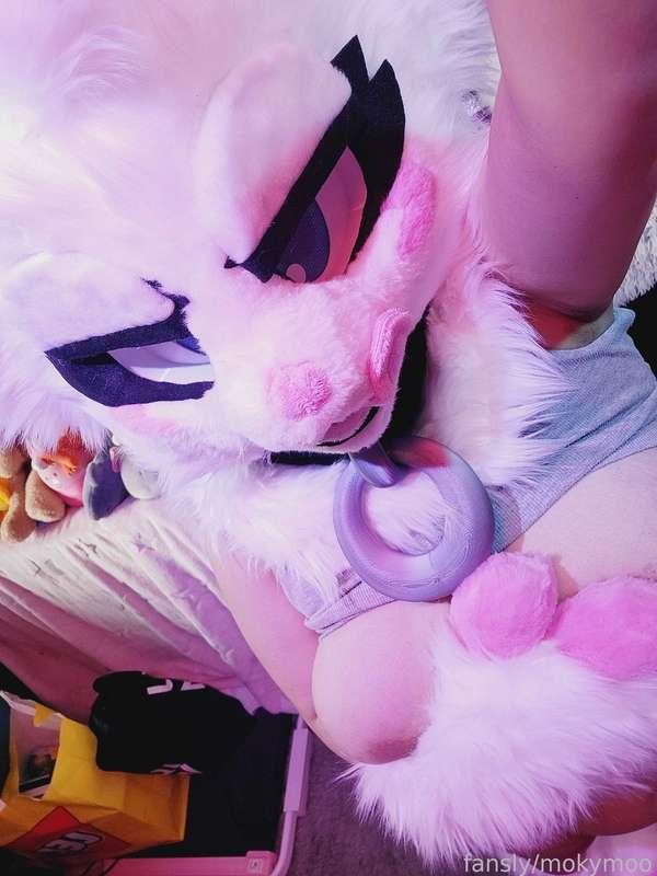 mokymoo image #8