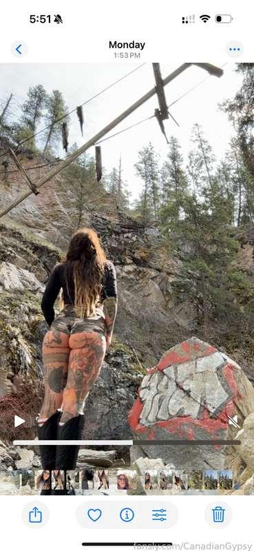 canadiangypsy image #3