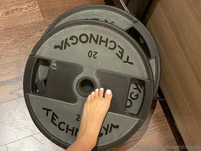 I bought some gym equipment (20kg plates x2) for the gym at ..