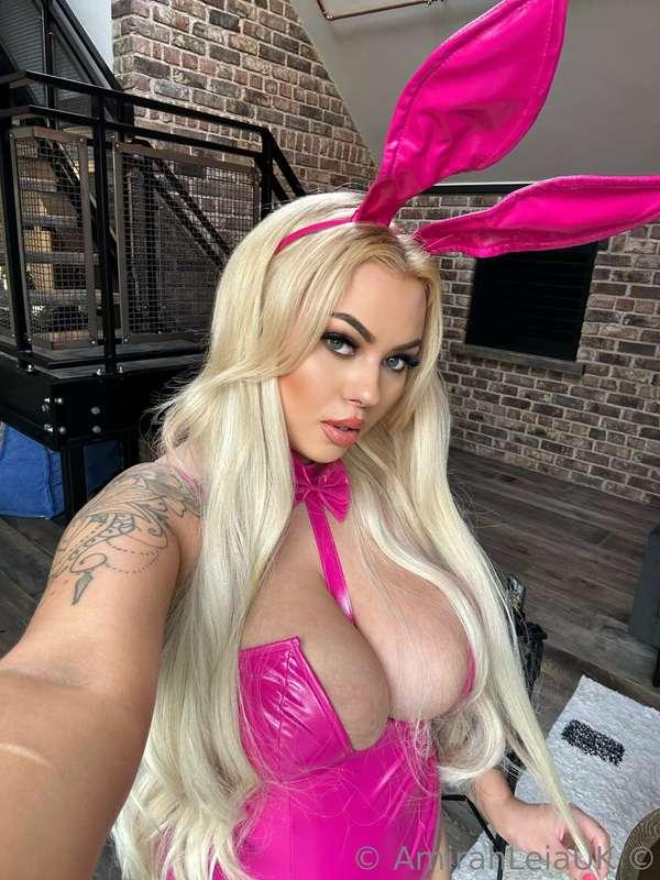 🐰🐰