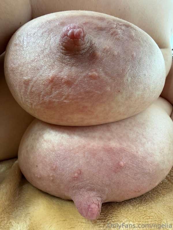 You can glaze them only if you lick it back