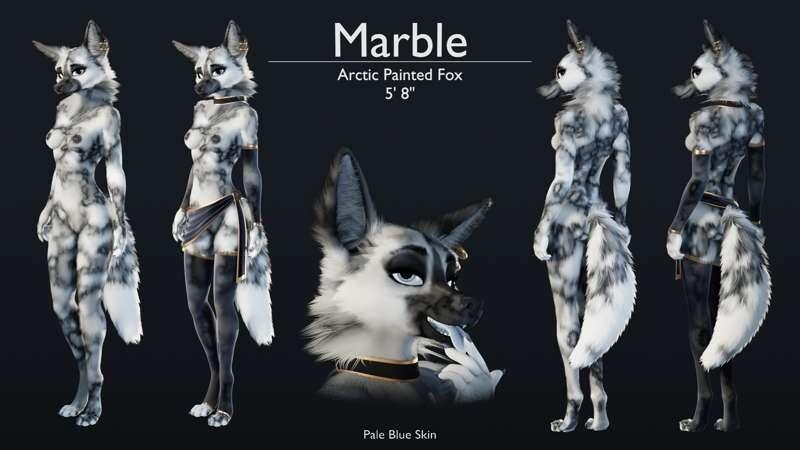 Marble, the Arctic Painted Fox
