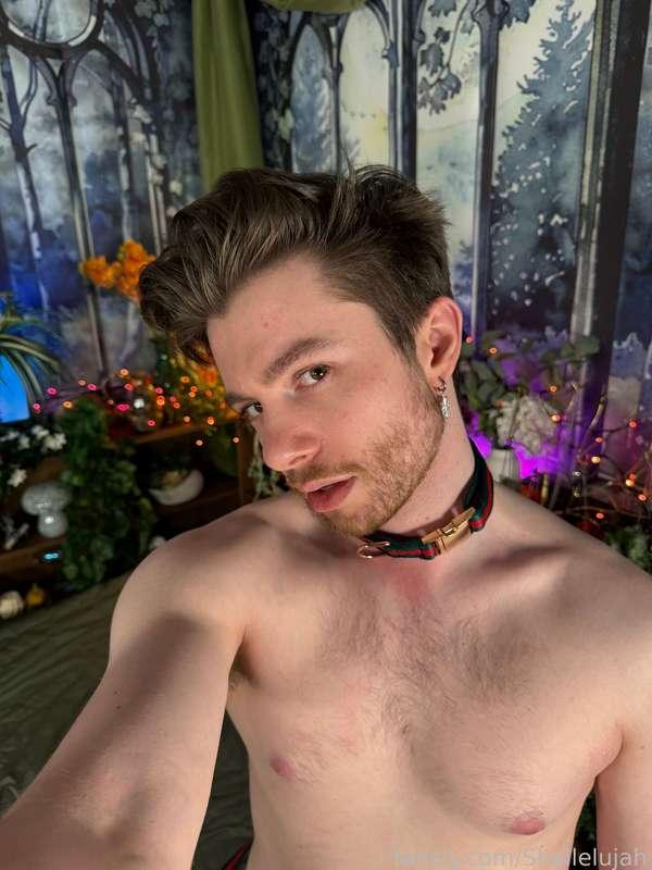 shallelujah image #37