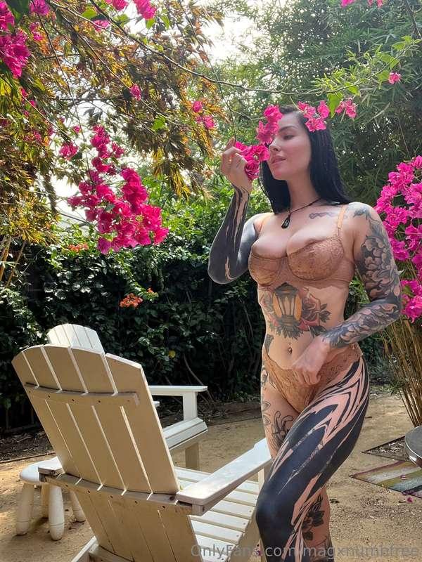 magxnumbfree image #0