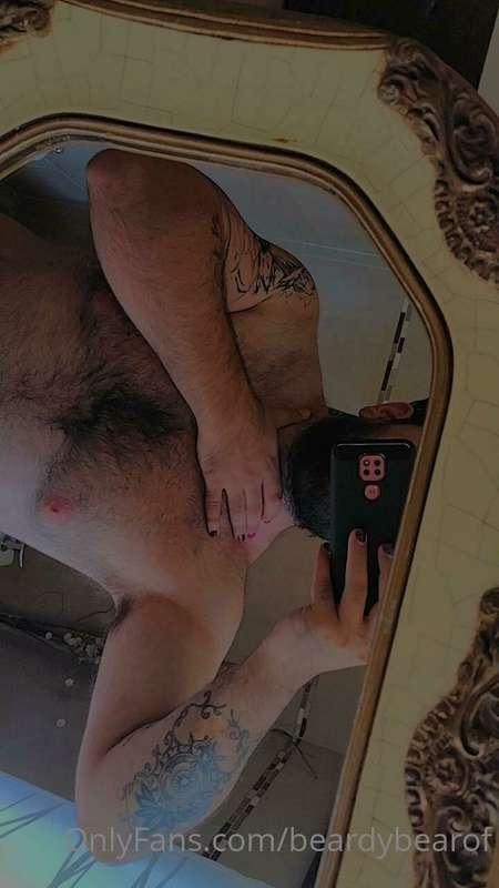 beardybearof image #0