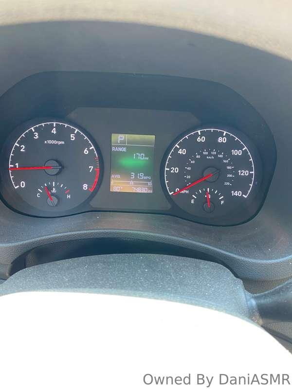 Tits needed a breather in this weather ☀️🤷🏼‍♀️

NC summer is..