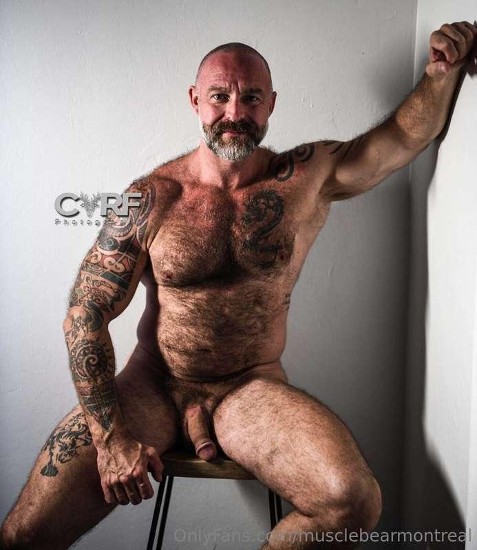 musclebearmontreal image #0