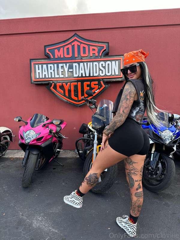 You into Harley babes? 😏🖤🧡