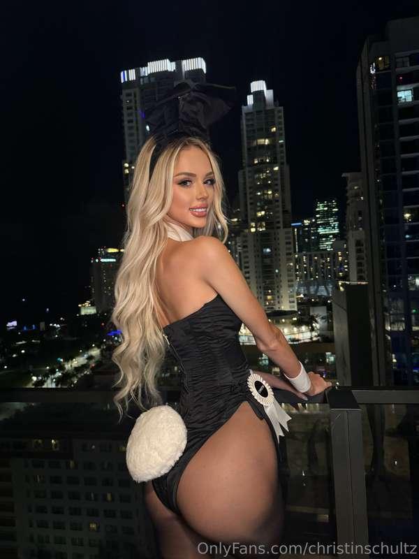 🐰 