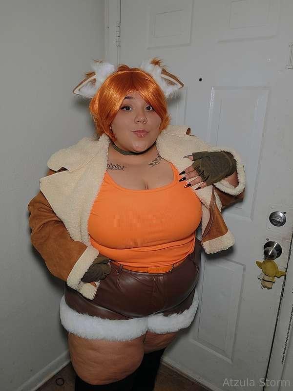 🐿🐿🐿🐿