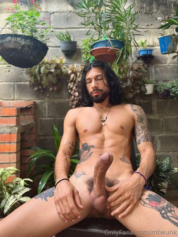 mtwunk image #1