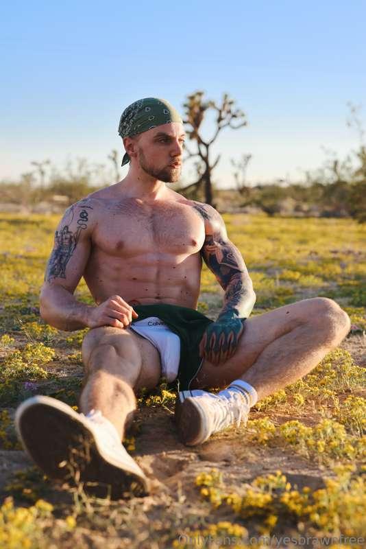 yesbrawnfree image #0