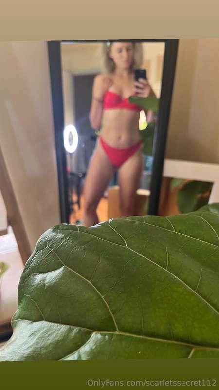 hksecret11212 image #1