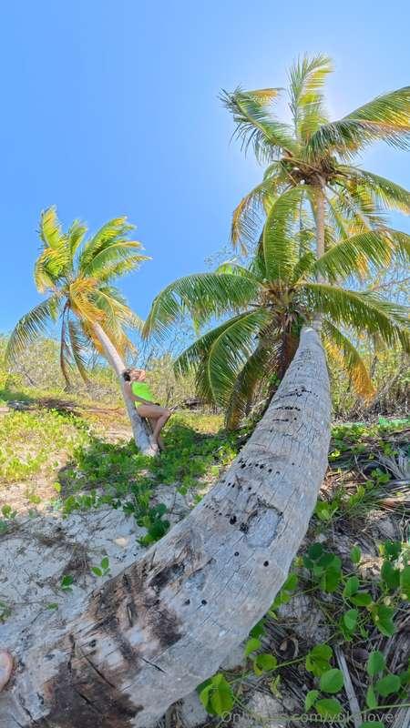 🇨🇺🌅 Enjoying this splendid day... incredible virgin beach, w..