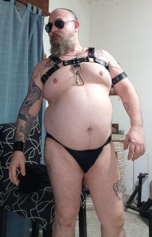 Leather harness pics
