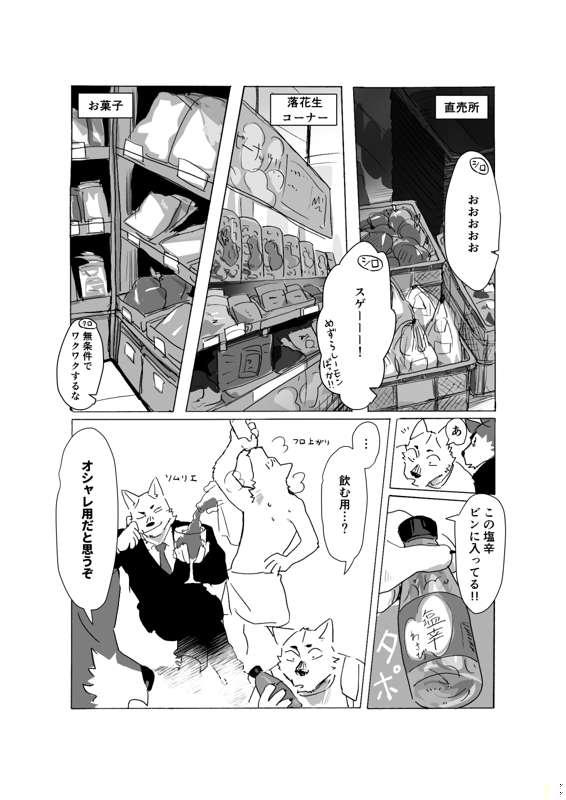 のらどら３