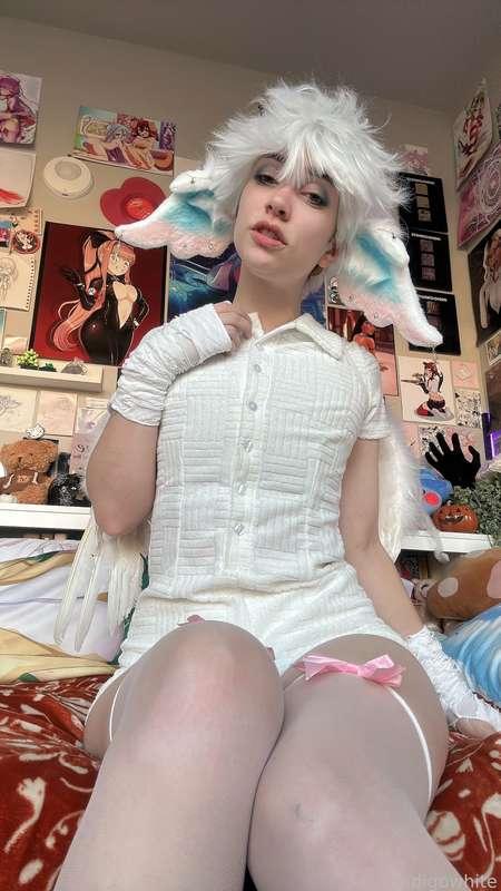 indigowhite image #19