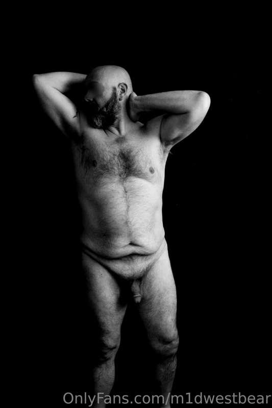 m1dwestbear image #15